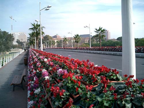 Puente de las Flores